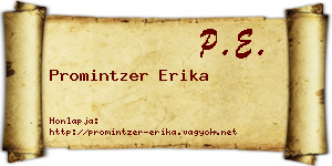 Promintzer Erika névjegykártya